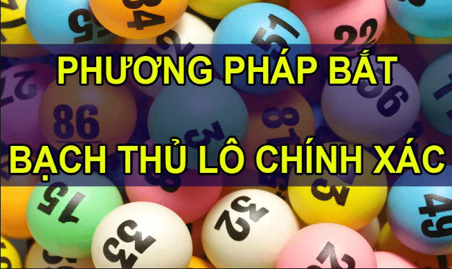 Phương pháp bắt bạch thủ lô từ chuyên gia