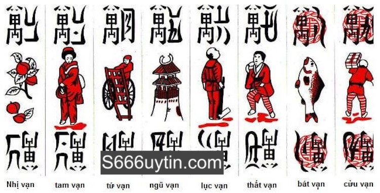 tổ tôm là gì