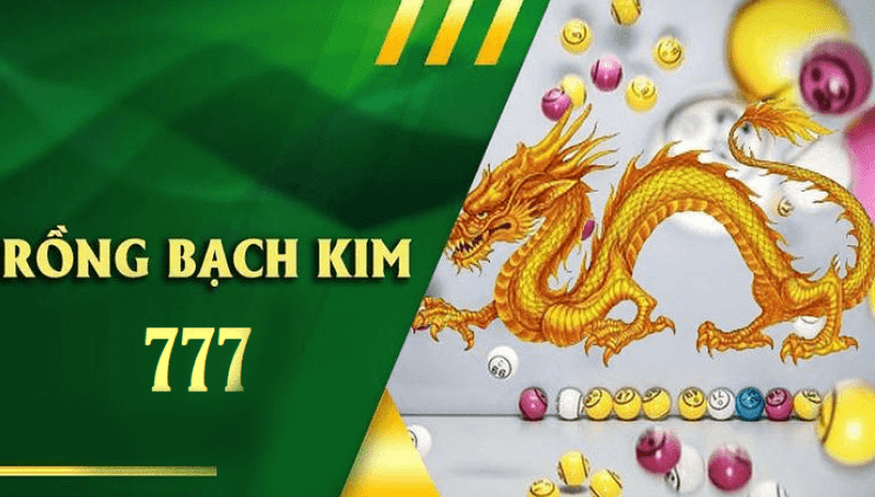 tìm hiểu sâu về rồng bạch kim 77